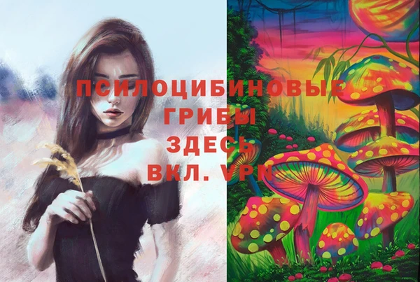 марки lsd Балабаново